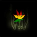 [WR]Weed